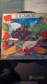 lp 33 giri vinile ligabue lambrusco