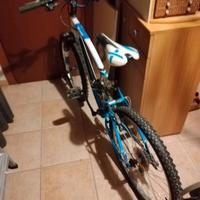 Bicicletta Esperia 24