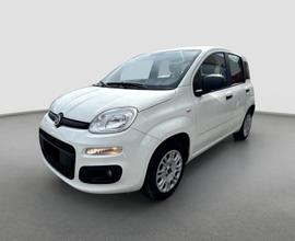 Fiat panda 1.2 easy 69cv - neopatentati