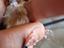 Immagine 1