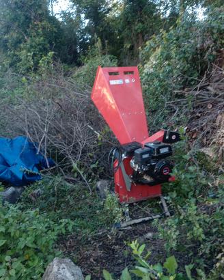 Pulizia Terreni - Giardini 