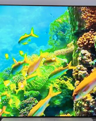 Samsung tv 4k ue65 qn85c