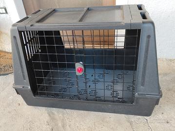 kennel misura grande