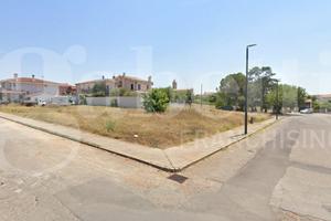 Terreno Agricolo Santa Giusta