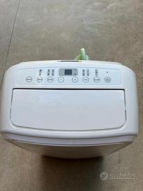 Climatizzatore portatile e deumidificatore