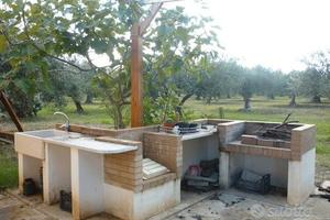Terreno a frutteto con pozzo barbecue piattaforma