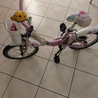 bici bottecchia 60€