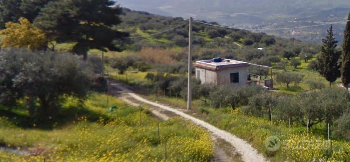 Terreno agricolo con magazzino - Vista 2