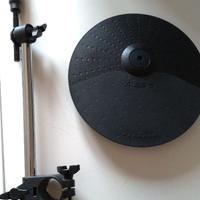 Piatto Alesis + asta