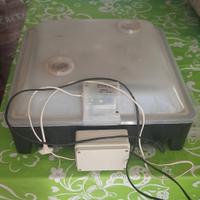 Incubatrice per uova