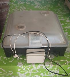 Incubatrice per uova