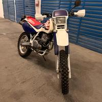 Honda Dall'Ara XR 600 - 1996