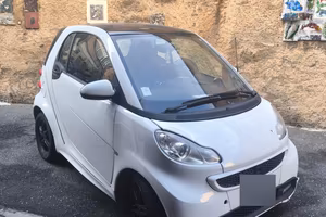 smart fortwo 2013 