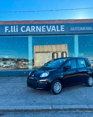 FIAT Panda 3ª serie Panda 1.0 FireFly S&S Hybrid
