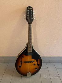 Mandolino Fender Elettrificato