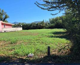 Agricolo a Guidonia Montecelio