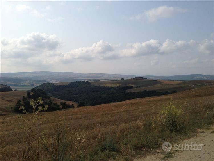 Terreno di 42340 m² a Tuscania - Vista 3
