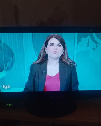 TV monitor PC 19 pollici Samsung