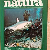 Rivista Oggi Natura luglio 1983 pescecani squali