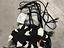 Immagine 3