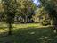 Immagine 28