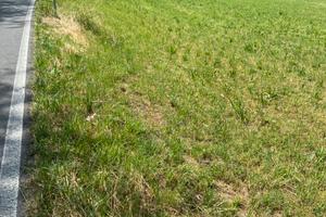 Terreno agricolo da mq 15000