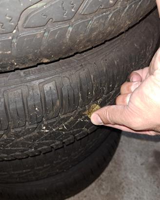 Cerchi più gomme fiat