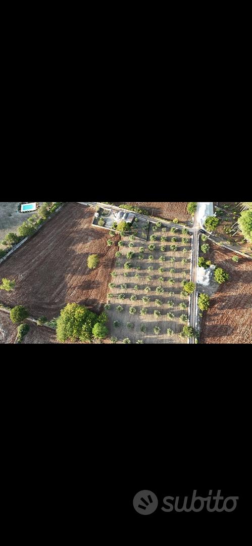 Terreno rustico - Altro