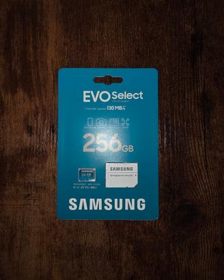 Samsung Memorie EVO Select Scheda MicroSD da 256GB