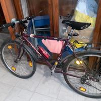 Bicicletta Explorer MTB