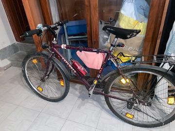 Bicicletta Explorer MTB