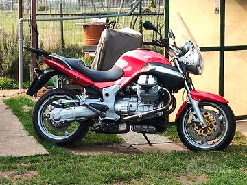 Guzzi breva 850