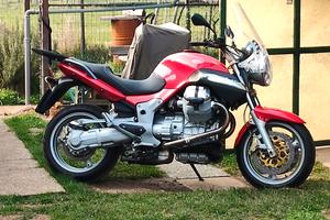 Guzzi breva 850