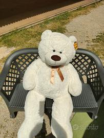 ORSO GIGANTE 