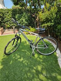 Bici Olympia Freeland