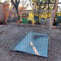 Kennel per cani xl
