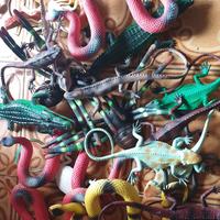lotto animali in plastica retti iguane e altri