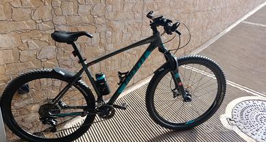 MTB GIANT 29 FRENI DISCO