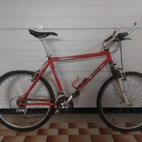 Bici mountain bike uomo
