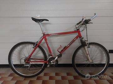 Bici mountain bike uomo