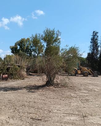 Terreno edificabile e,in adiacenza, terreno agrico