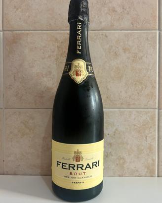 Ferrari - Brut Metodo Classico