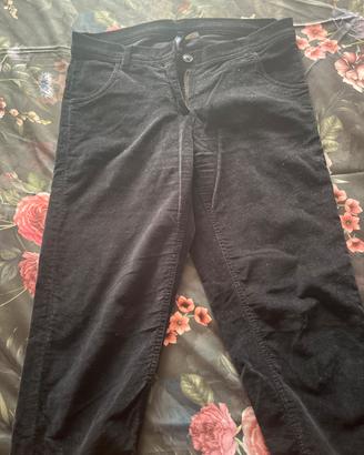 Panta