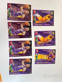 Lotto 7 Carte NBA Lazers
