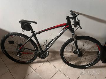 Mountain bike Argo