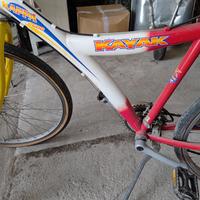 bici kayak 