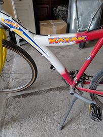 bici kayak 