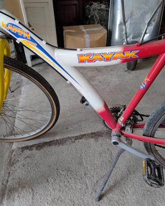 bici kayak 