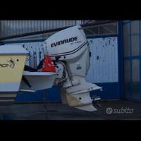 Coppia motori evinrude 200 - ricambi
