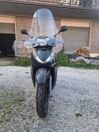 SH 300